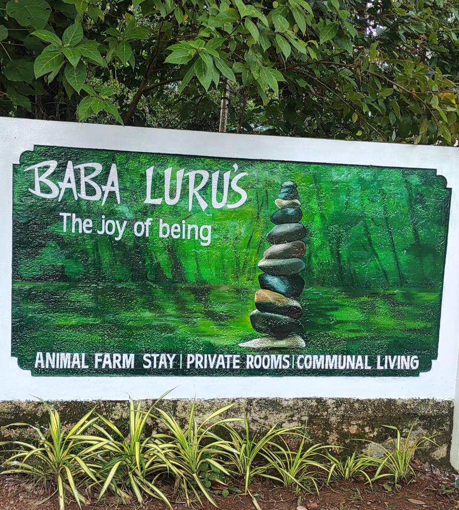 Baba Luru's photo 4