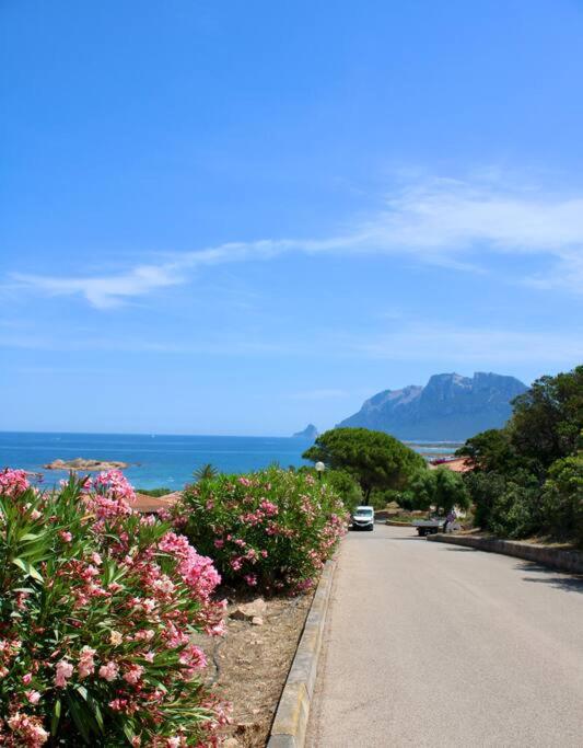 RELAIS IL CORALLO photo 2