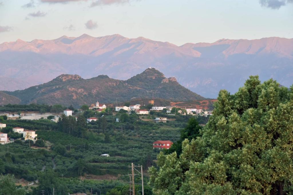 VILLA BLUE VEDERE photo 2