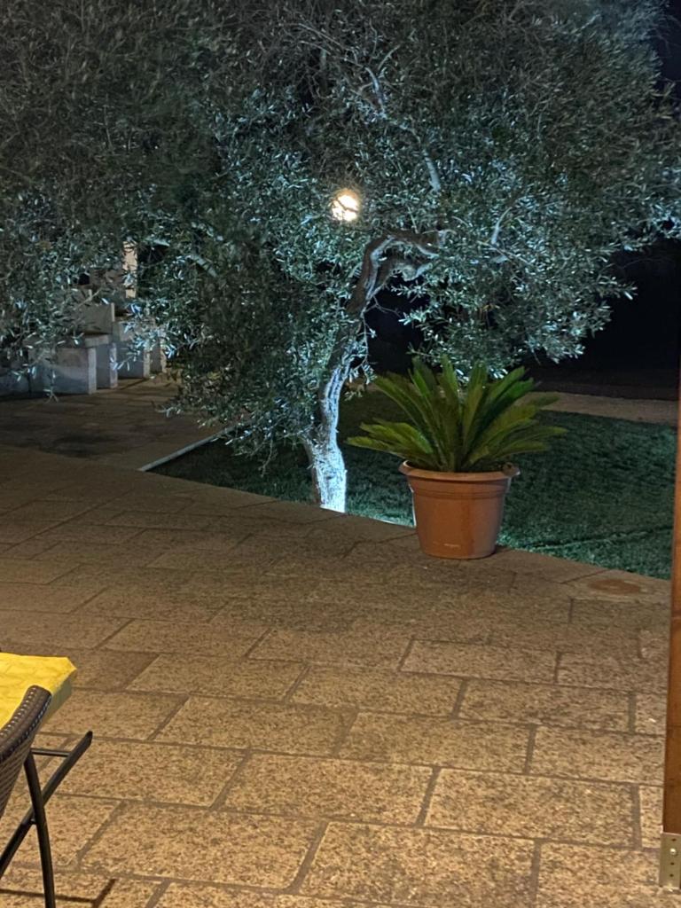 LA CASETTA PER LE TUE VACANZE IN TRANQUILLITA' photo 4