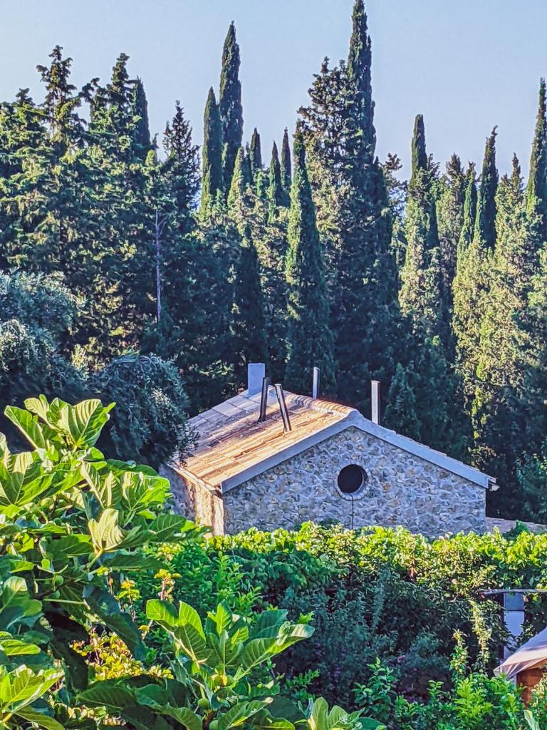 Linda House Corfu photo 4