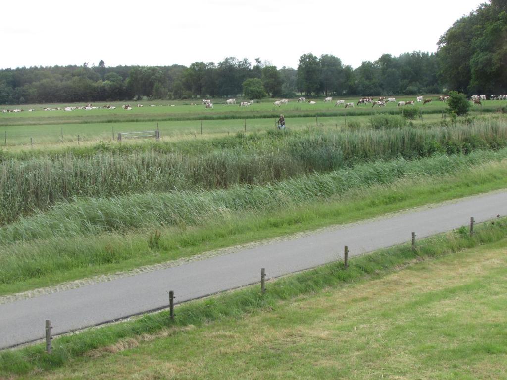 De Steerne, mooie plek aan het Overijssels kanaal. photo 3