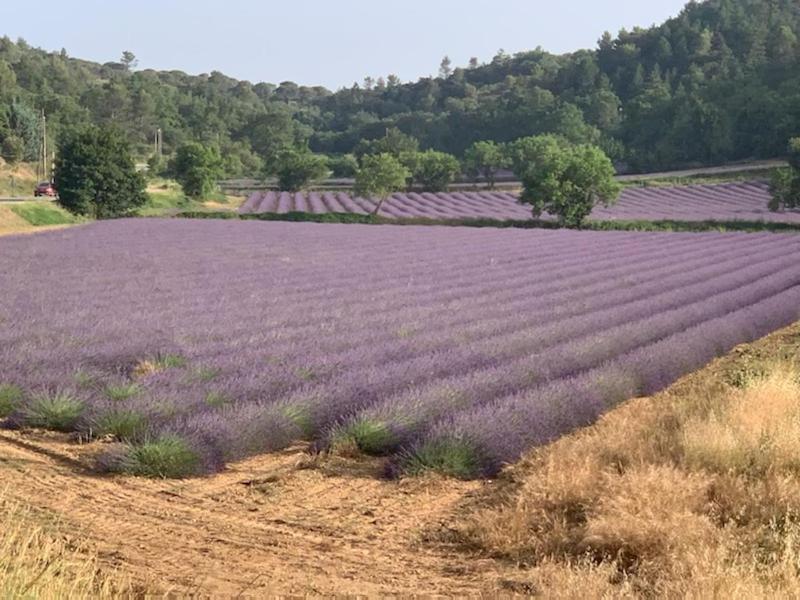 Location de vacances Rians haut Var photo 1