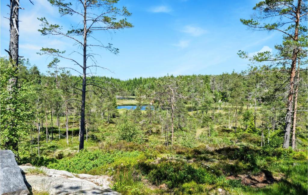 Beautiful Home In Marnardal With Wifi And 2 Bedrooms photo 4