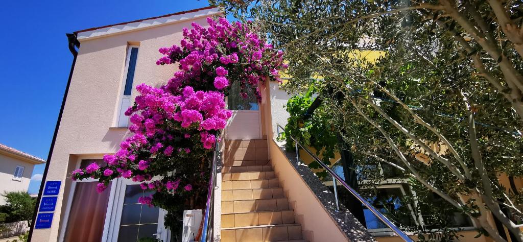 Apartments Marin, Kolan, Mandre, Pag photo 1