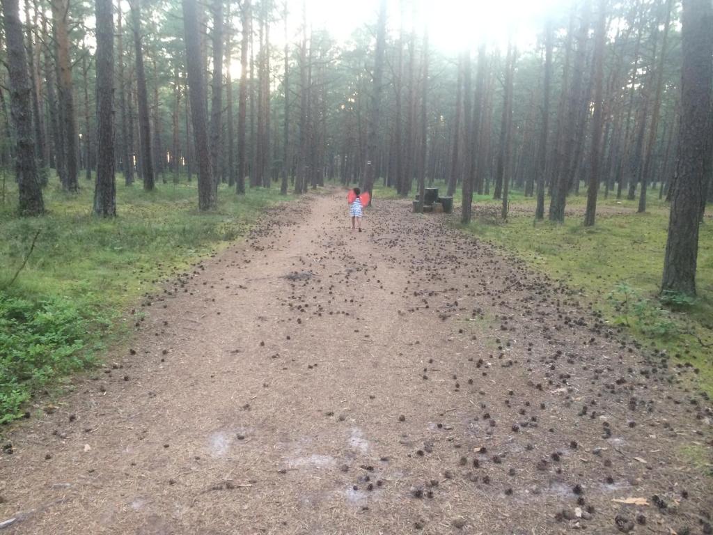 ZACISZNY DOMEK Z OGRODEM NAD MORZEM photo 4