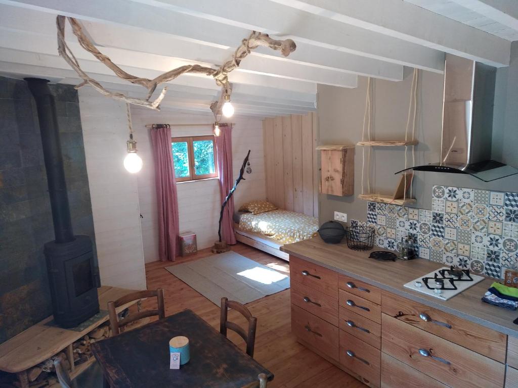 Gîte nature Au pied des hêtres photo 2