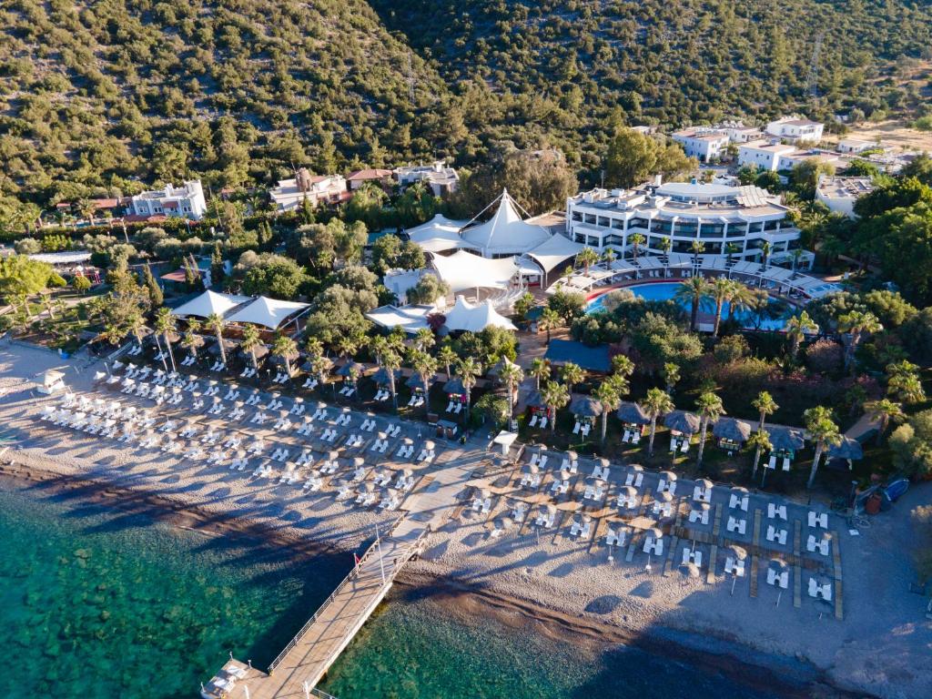 Latanya Park Resort photo 1