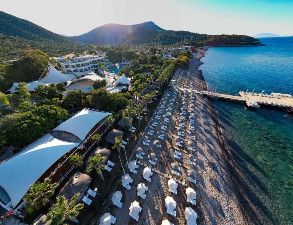 Latanya Park Resort photo 2