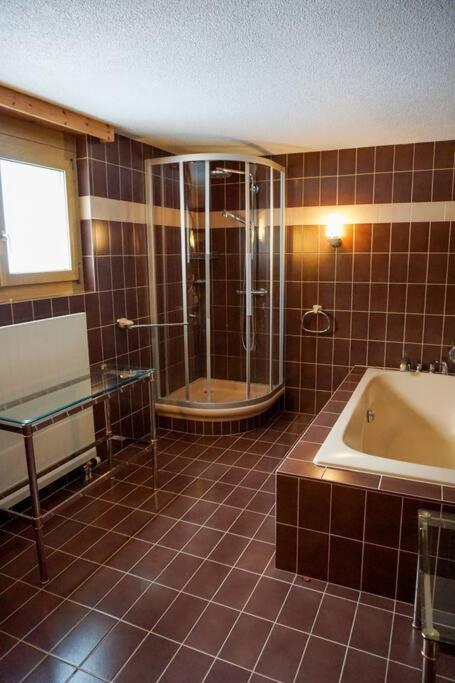 Grosse 2 ZImmer Wohnung mit Terrasse photo 2