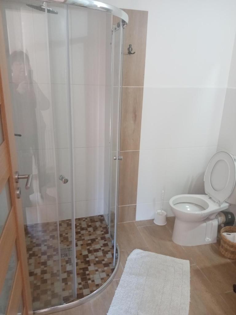 Ralsko-Hradcany - apartmán photo 4