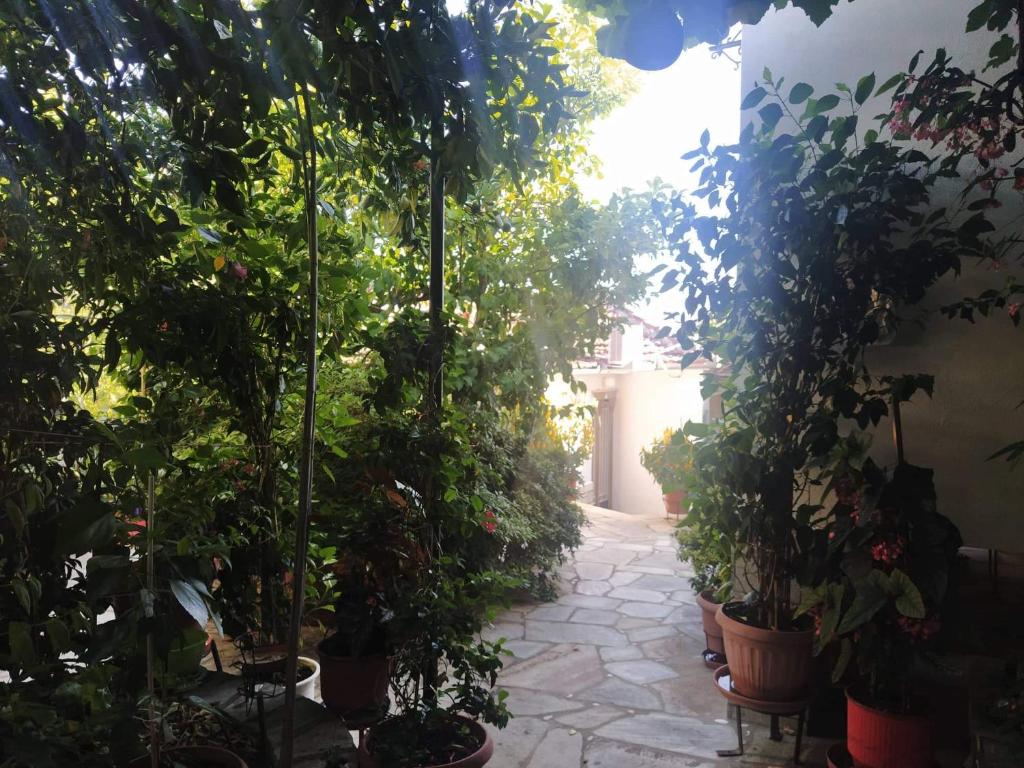 Garden of Edem photo 3