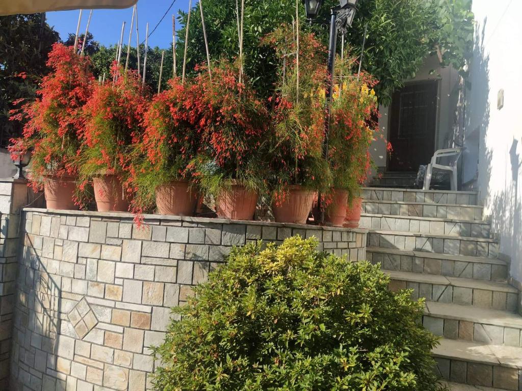 Garden of Edem photo 1