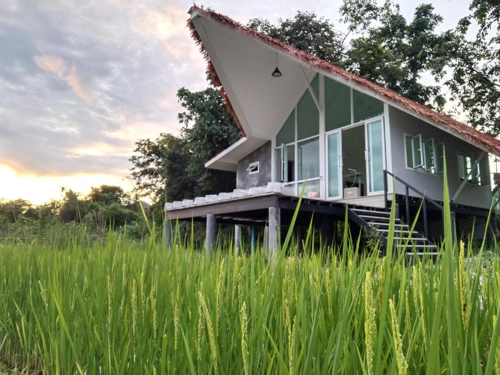 Royal mountain view (วิวเขาหลวง) photo 2
