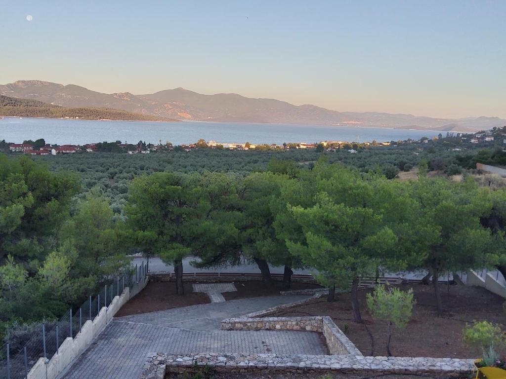 Pines sea view villa 170 sqm in Theologos photo 4