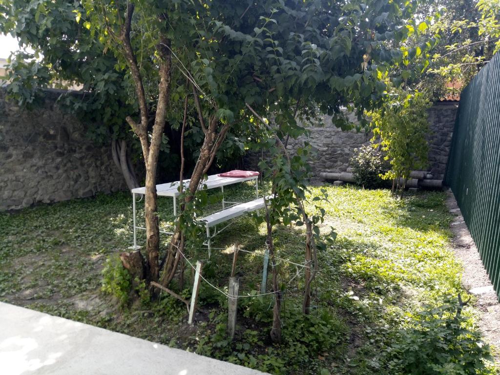 Guest House DODU photo 4