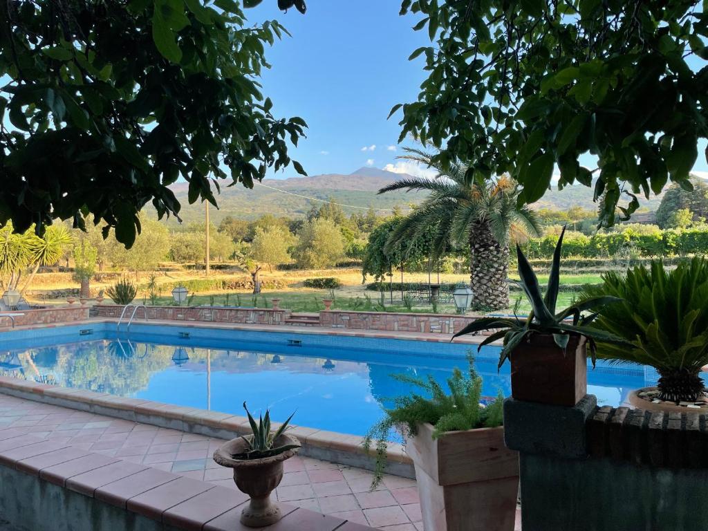 Villa VEDA photo 4