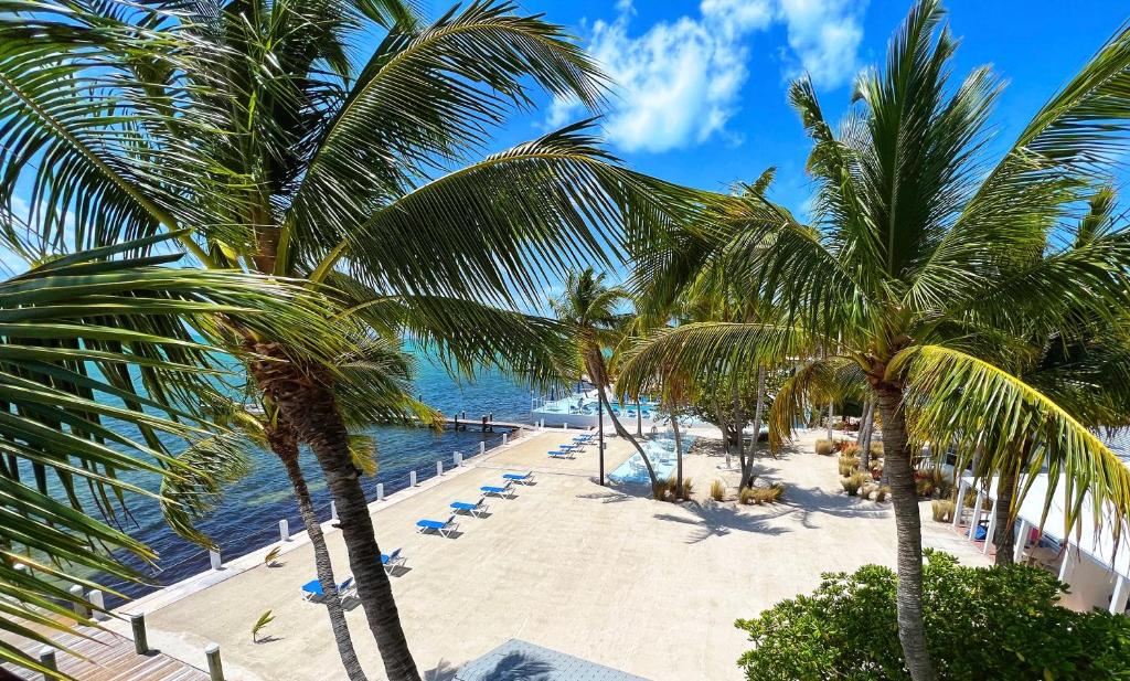 Pines & Palms Resort photo 4