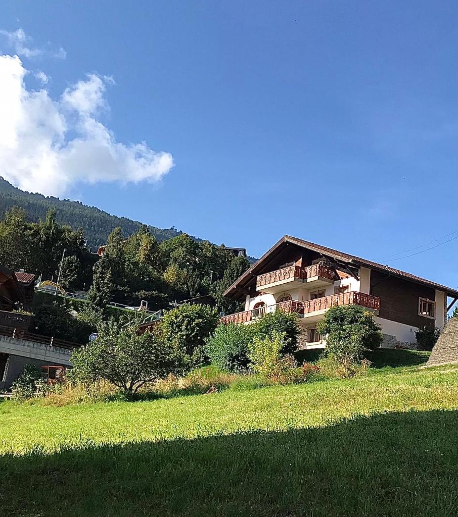 Chalet la Tulipe, mountain view, Terrace, BBQ photo 3