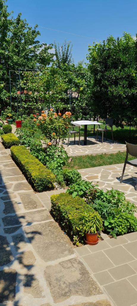 Garden Guest House photo 3