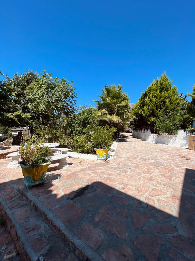 Vieri apartments photo 2
