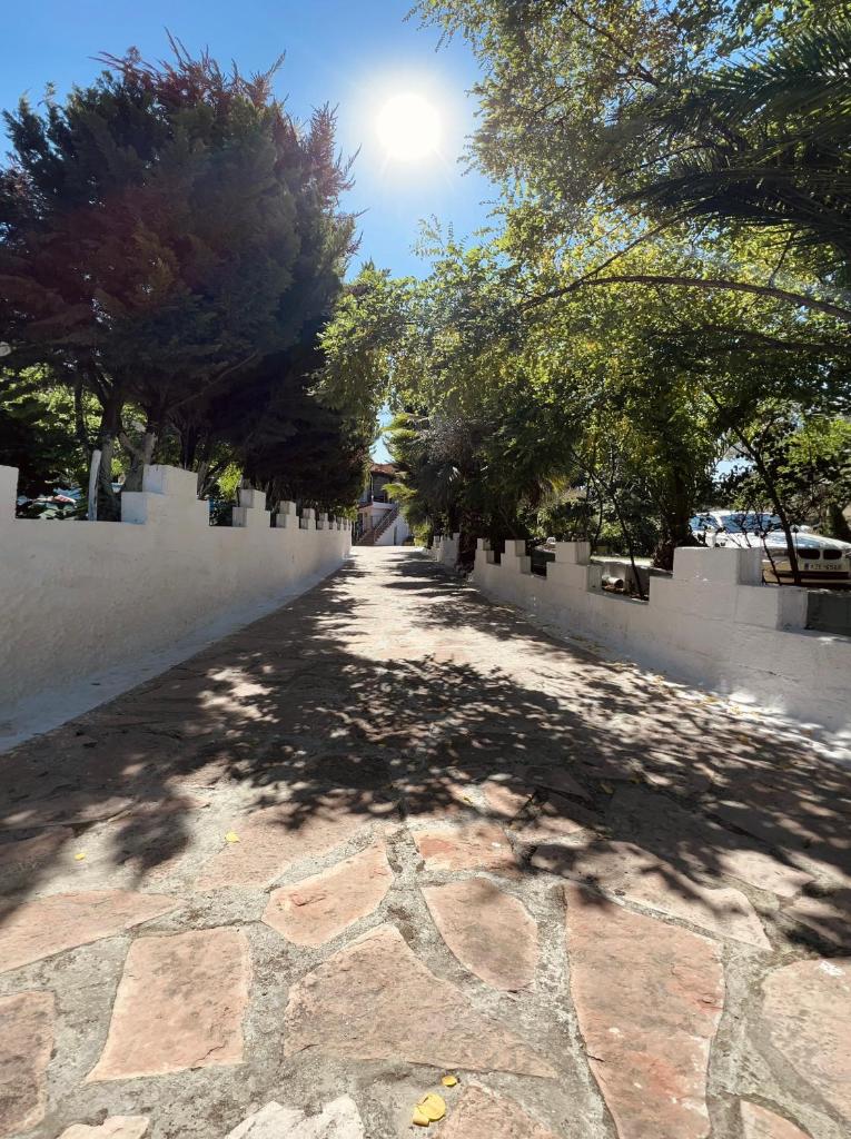 Vieri apartments photo 1