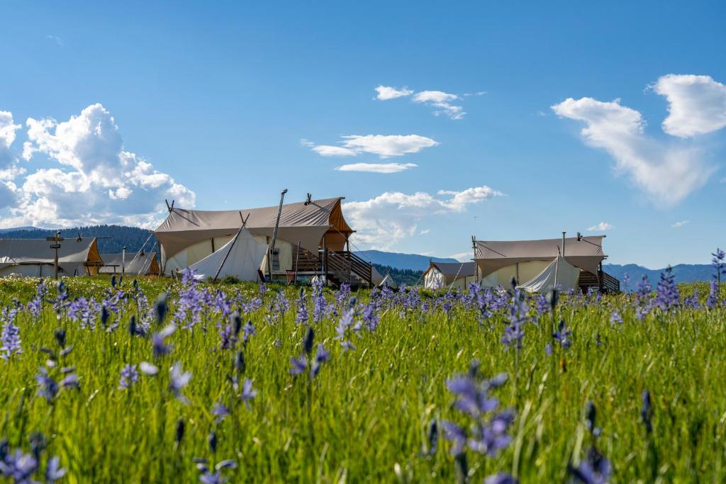 Under Canvas West Yellowstone image