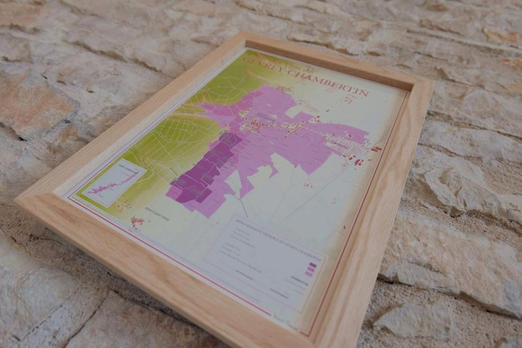 By les Climats - L'Angevin - Gevrey-Chambertin photo 4