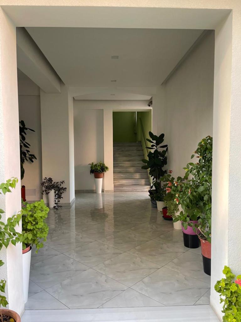 Festim hotel photo 1