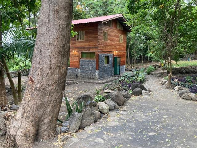 Mucumbli photo 3