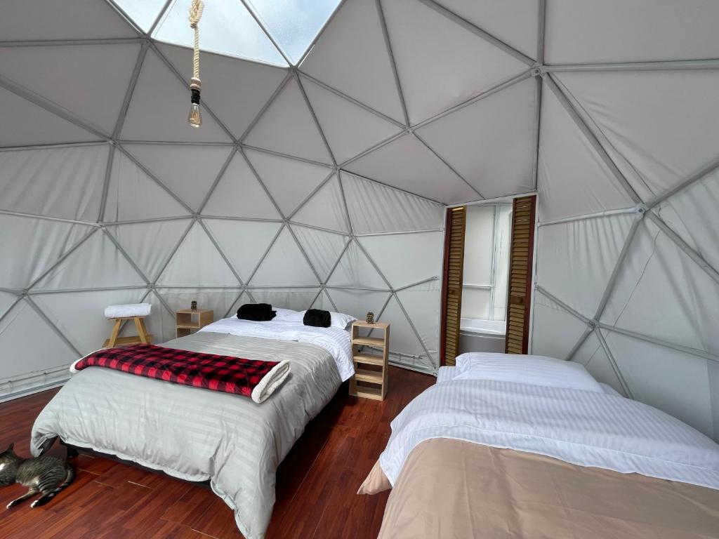 Glamping Wayra photo 3