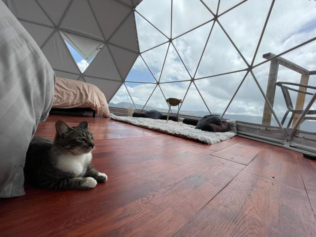 Glamping Wayra photo 2
