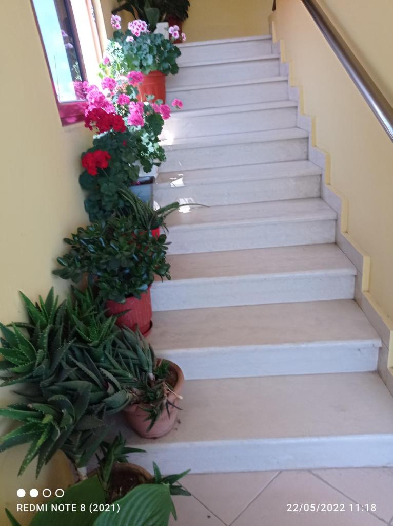 Guesthouse Fatos Biti photo 3