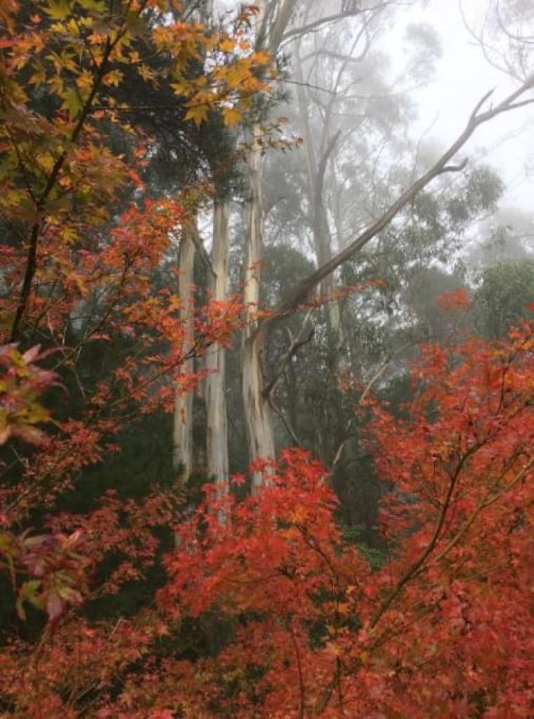 Olinda Enchanted Tower Spa Gas Log Fire and Netflix photo 2