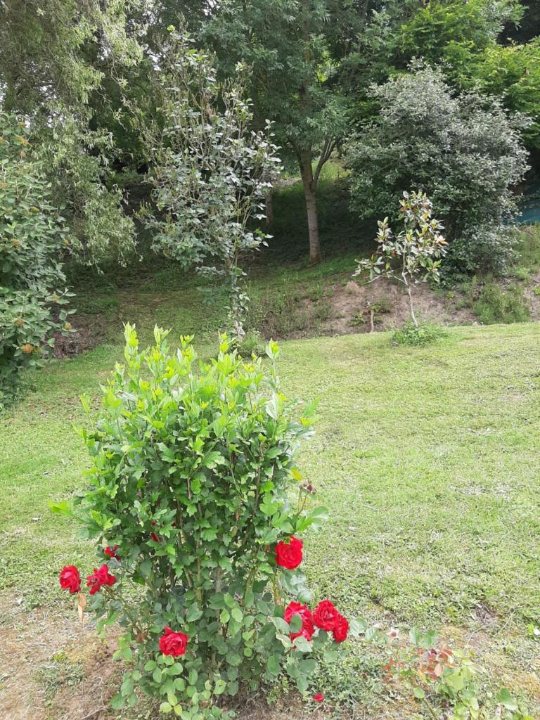 La demeure de Bysance photo 3