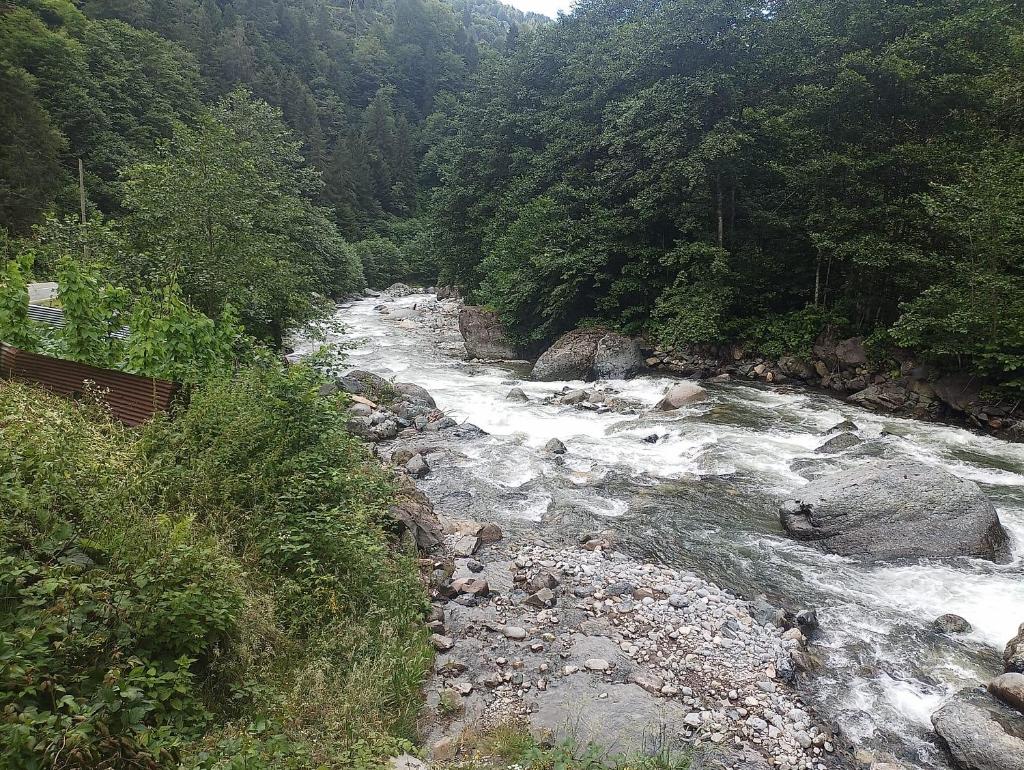 AYDER Levut Dağ Evi photo 1