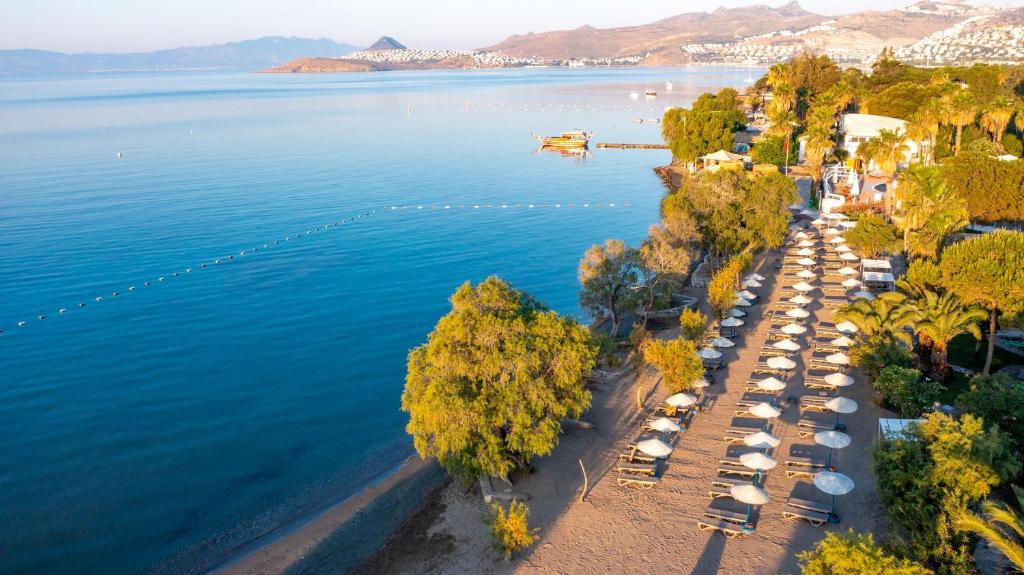 Authentic Bodrum Villa with Special Private Pool photo 1