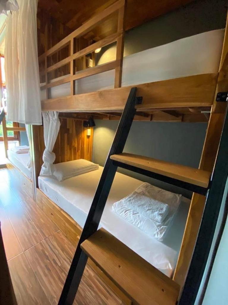Bloom Cafe & Hostel photo 3