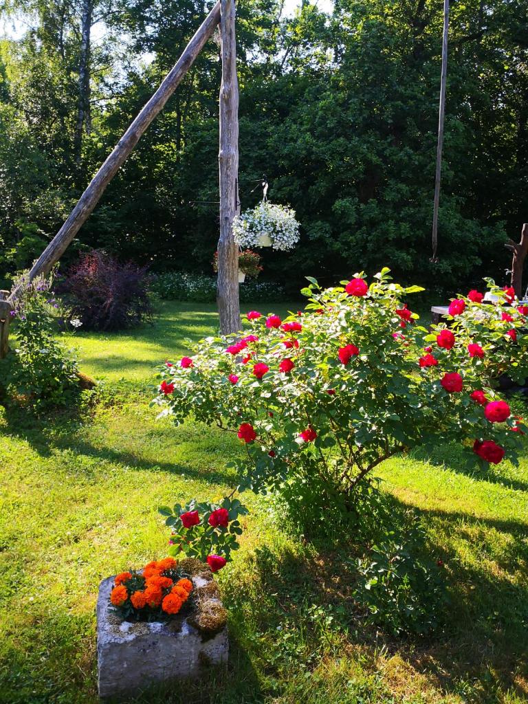 Kotka Farm photo 4