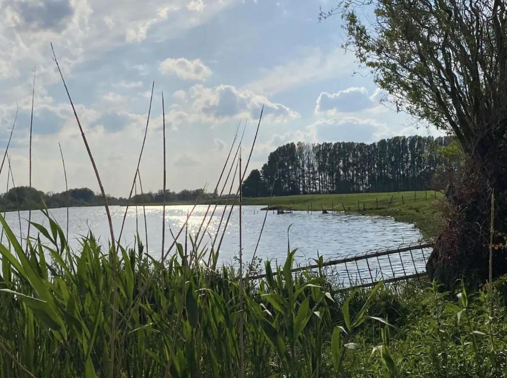 Ferien am Wasser photo 4