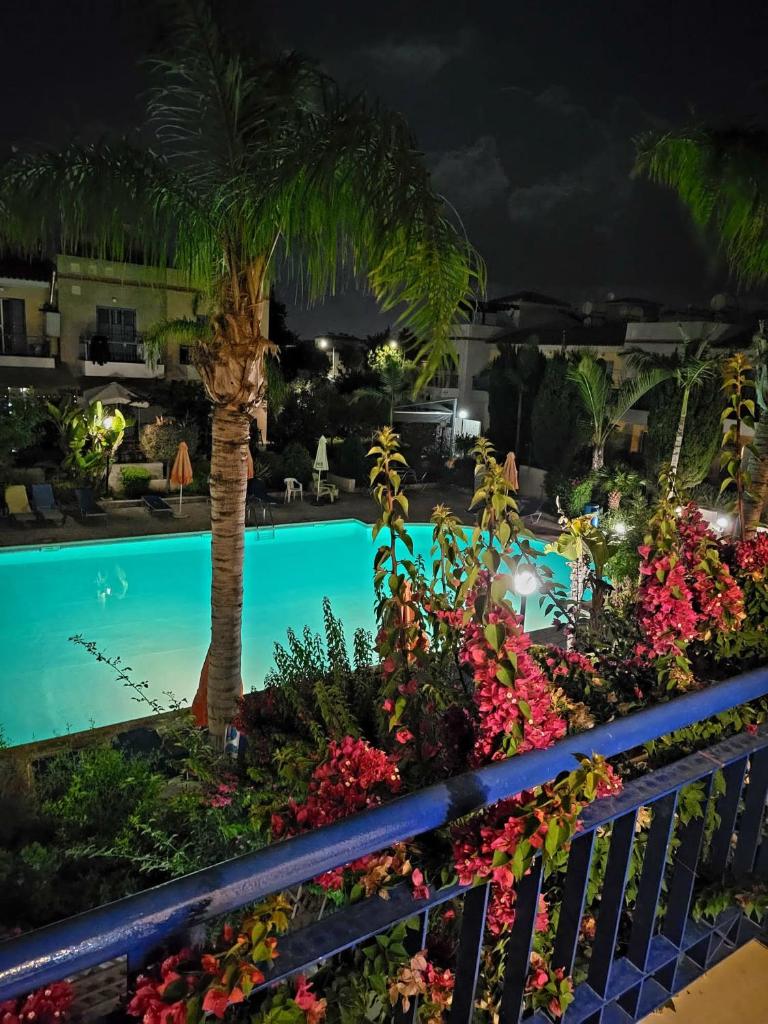 Paphos town house vacation photo 1
