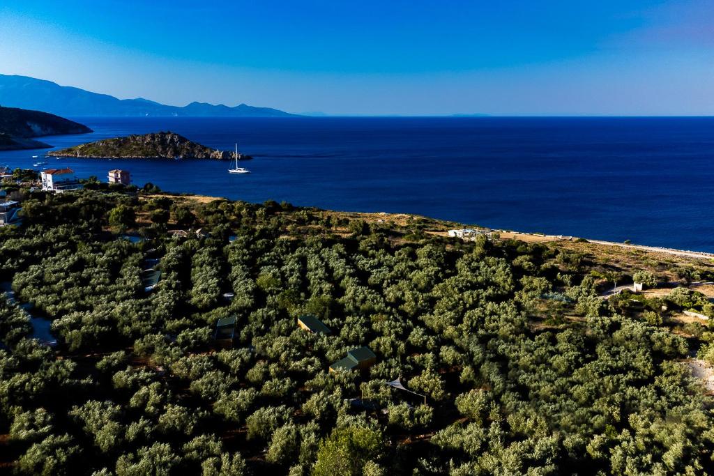 Thalassa Green photo 3