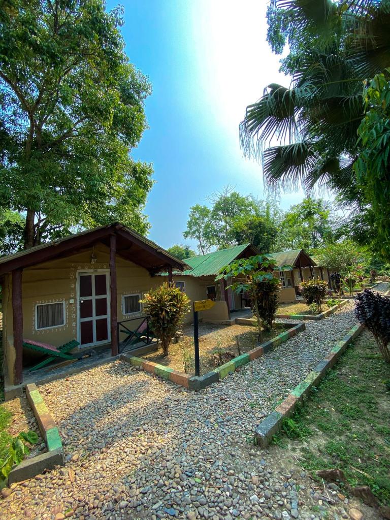 Nature Safari Camp
