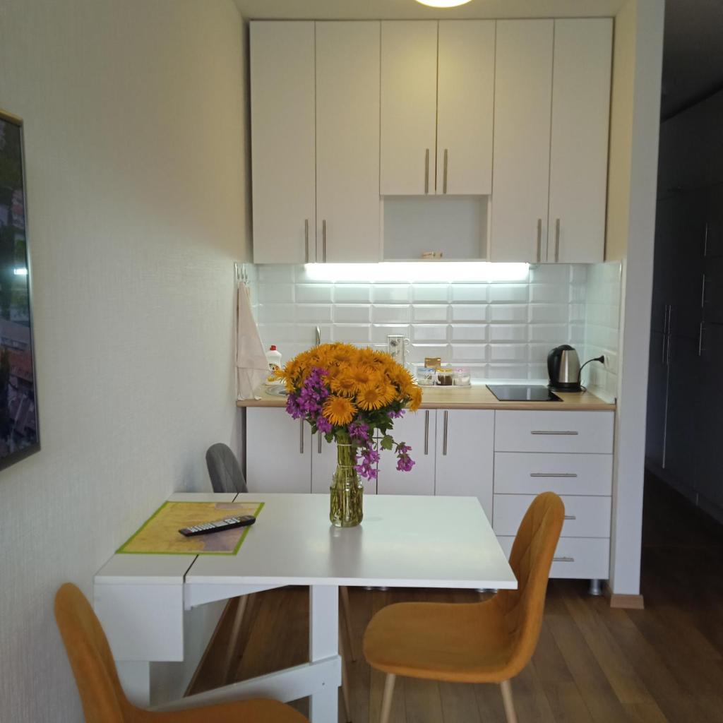 Roshka Apartment 307 photo 2