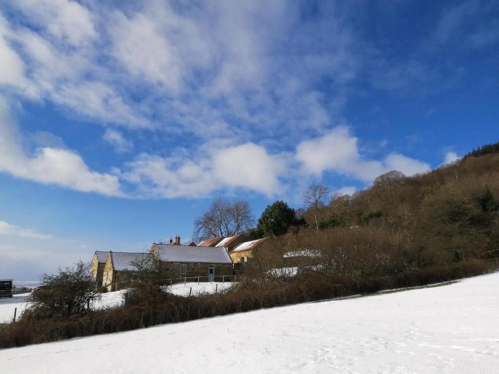 Luddie's Country Cottages - Rose Cottage photo 1