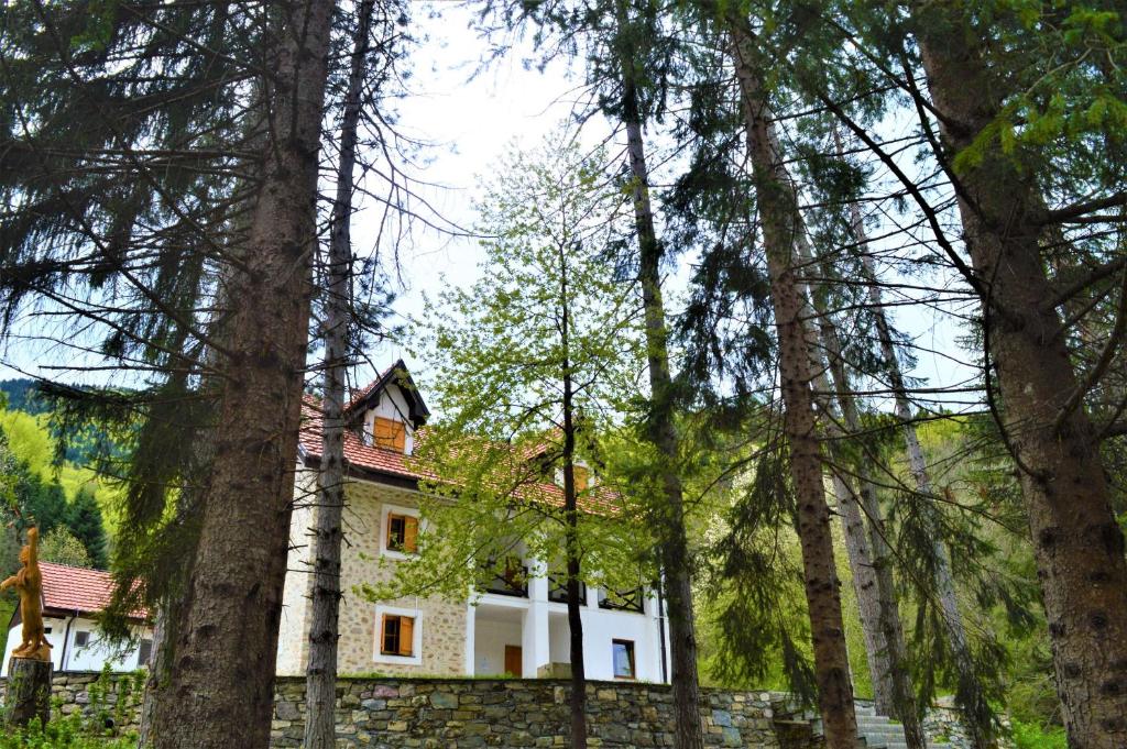 Mountain house Korab Trnica