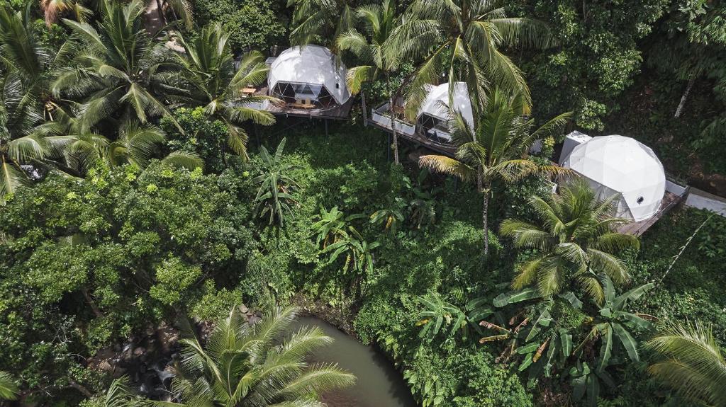 Lintang Luku Tent Resort Ijen, Banyuwangi photo 4