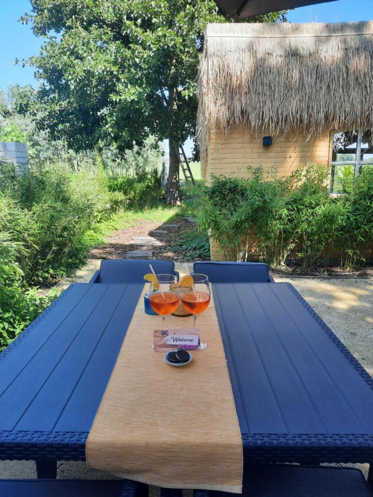 Wellness Lodge aan de Braassem photo 4