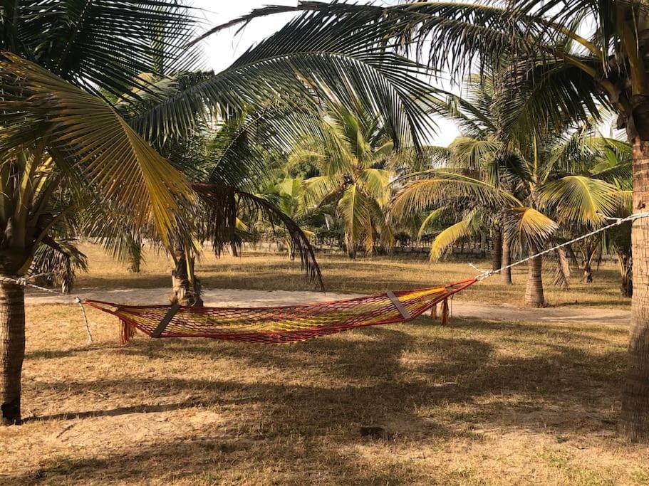 Grande maison en bordure de plage photo 1