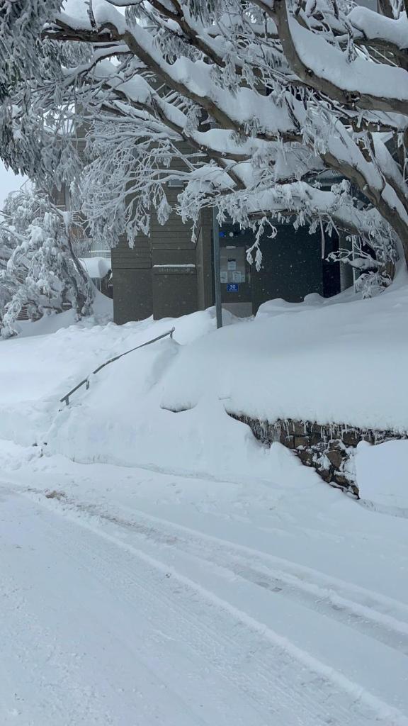 Winterbrook Chalet photo 2